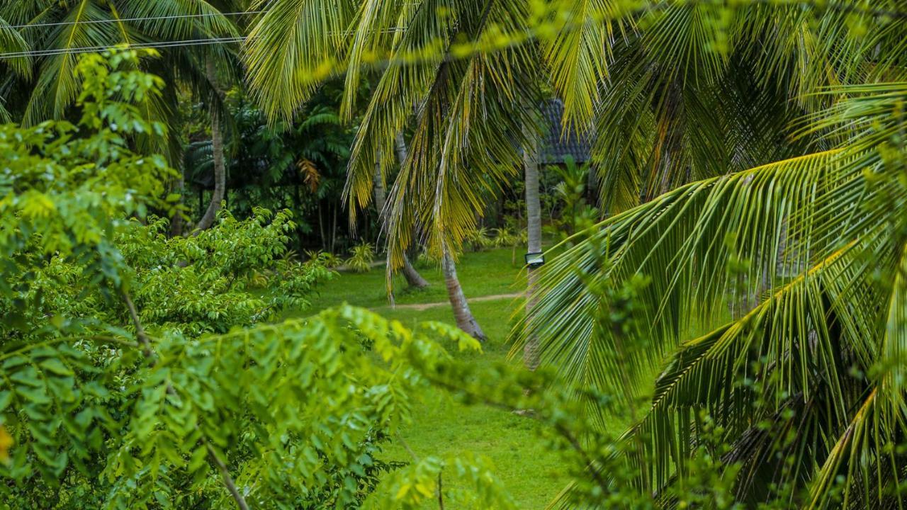 Silver Crown Nature Resort Kombichankulama Buitenkant foto