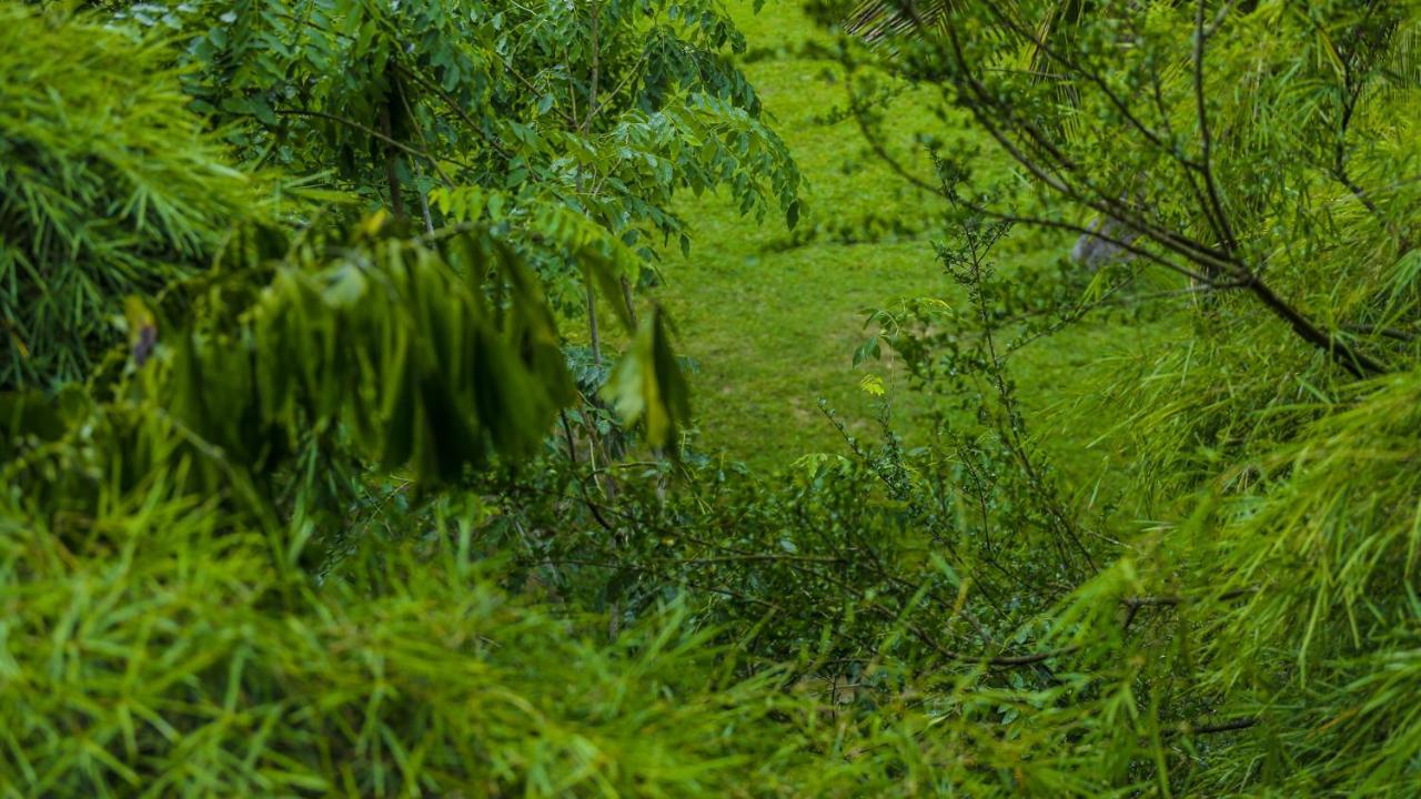 Silver Crown Nature Resort Kombichankulama Buitenkant foto